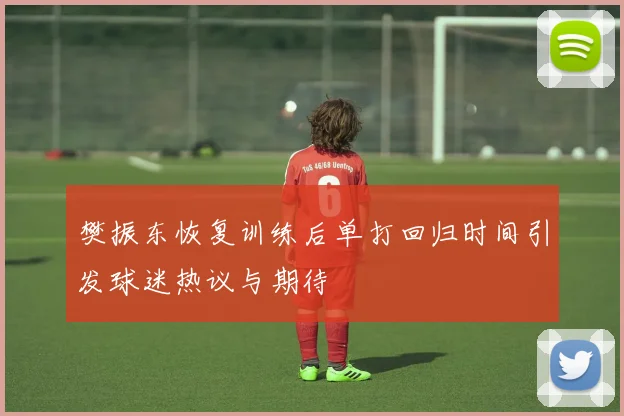 樊振东恢复训练后单打回归时间引发球迷热议与期待